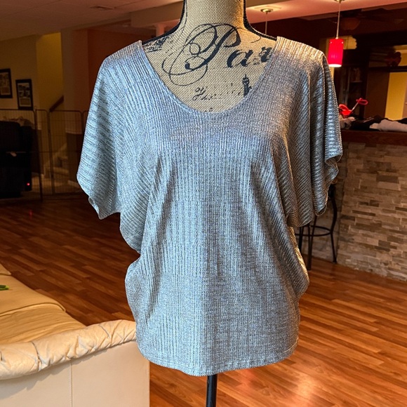 Kim & Cami Tops - Size medium silver blouse (in some lighting it has gold undertones)